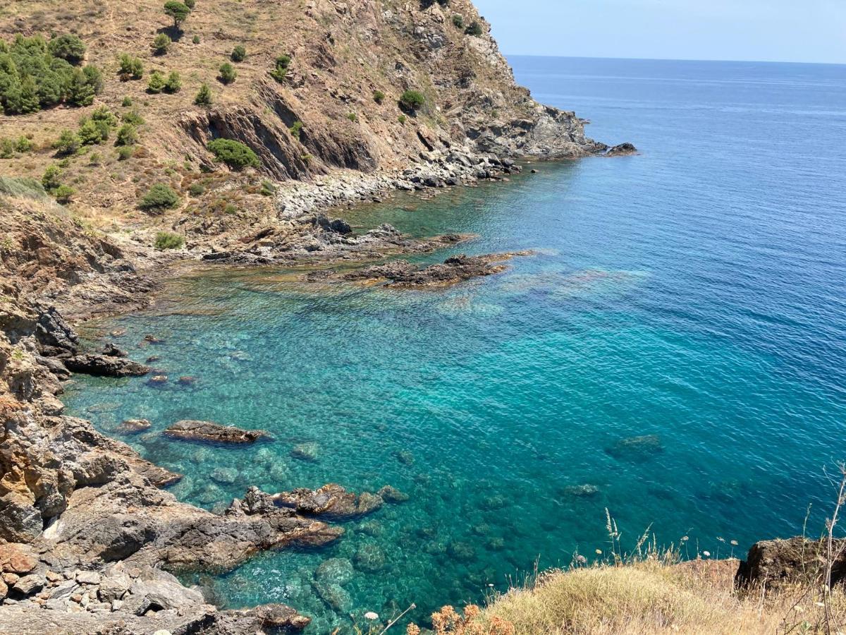 Mas De La Riviere Villa Villelongue-de-la-Salanque Bagian luar foto