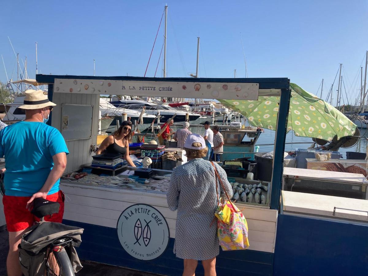 Mas De La Riviere Villa Villelongue-de-la-Salanque Bagian luar foto