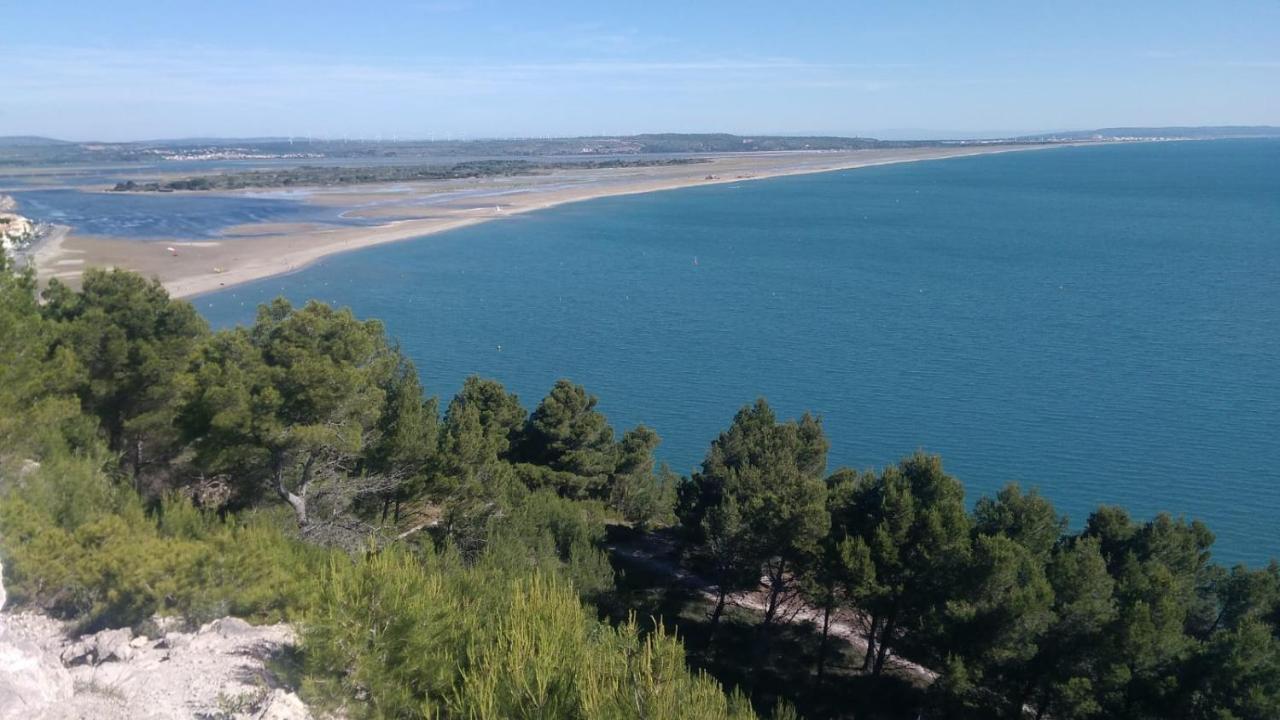 Mas De La Riviere Villa Villelongue-de-la-Salanque Bagian luar foto